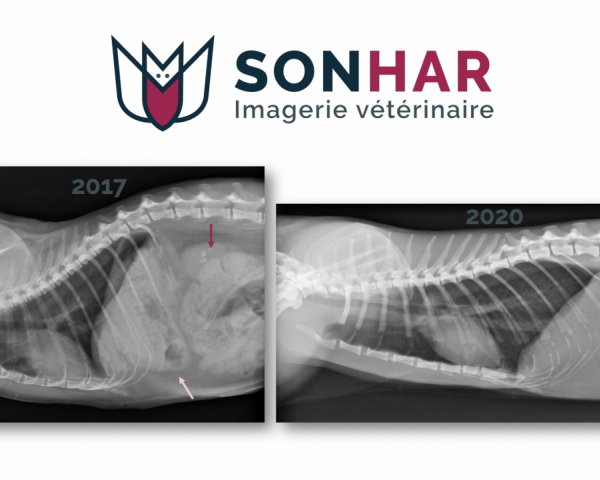 Embonpoint et contraste radiographique